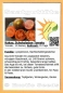 Preview: Tomate * Kakao * Schokoladen-Tomate * 20 Samen